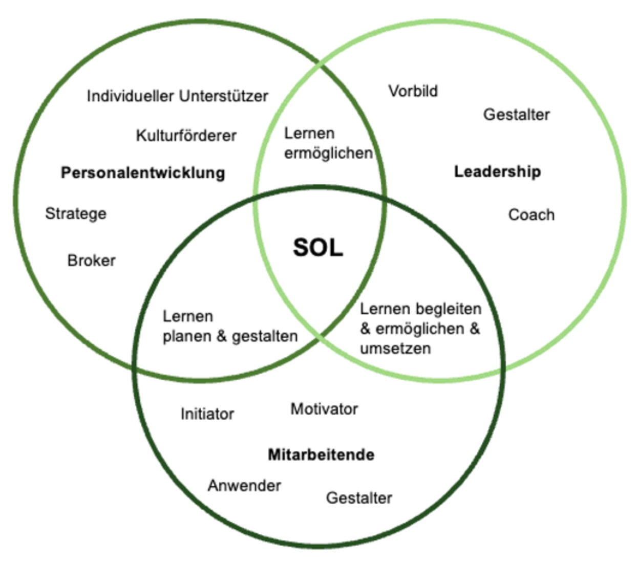 SOL = Selbstorganisiertes Lernen, Abbildung 5: Wenn alles zusammenkommt: Selbstorganisiertes Lernen im Arbeitskontext gestalten. Eigene Darstellung.