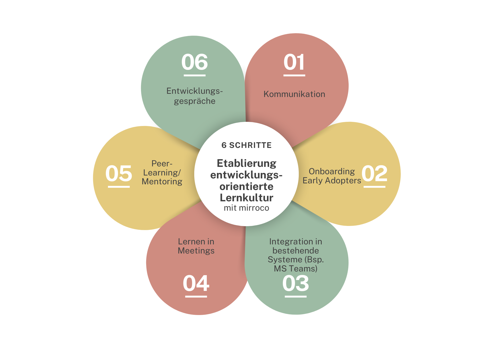 Eigene Visualisierung, 6 Schritte zur Etablierung einer entwicklungsorientieren Lernkultur mit der Nutzung der mirroco Software